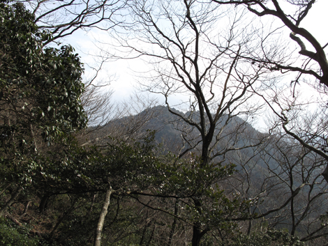 20140102hike (170)